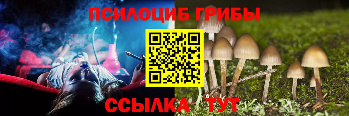 Псилоцибиновые грибы Psilocybine cubensis  как найти закладки  Вход с VPN  Жигулёвск  Галлюциногенные грибы Psilocybe 